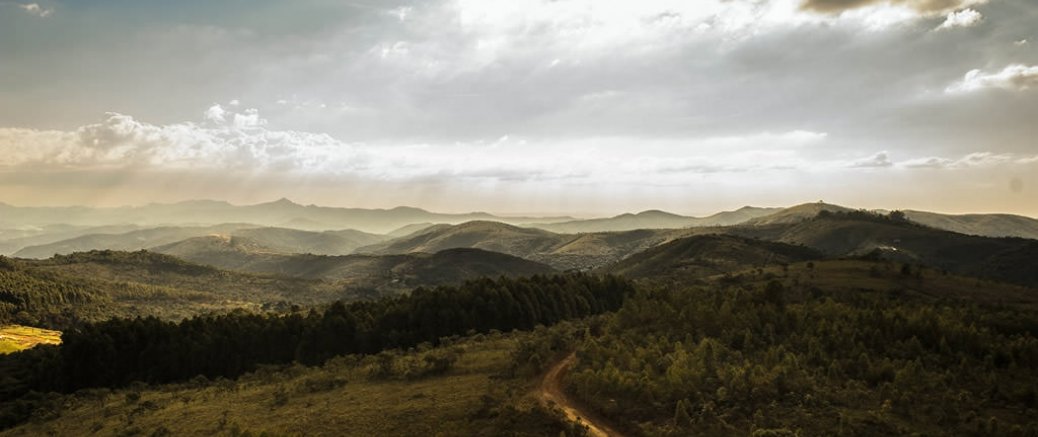 Sunshine in the Hills